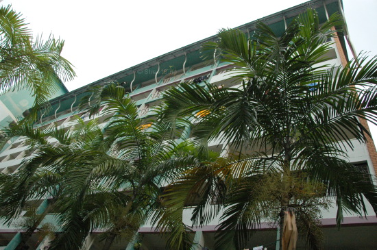 Commonwealth Drive thumbnail photo